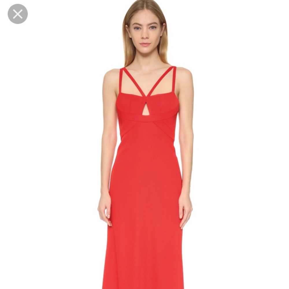 Bcbg kelbie gown.